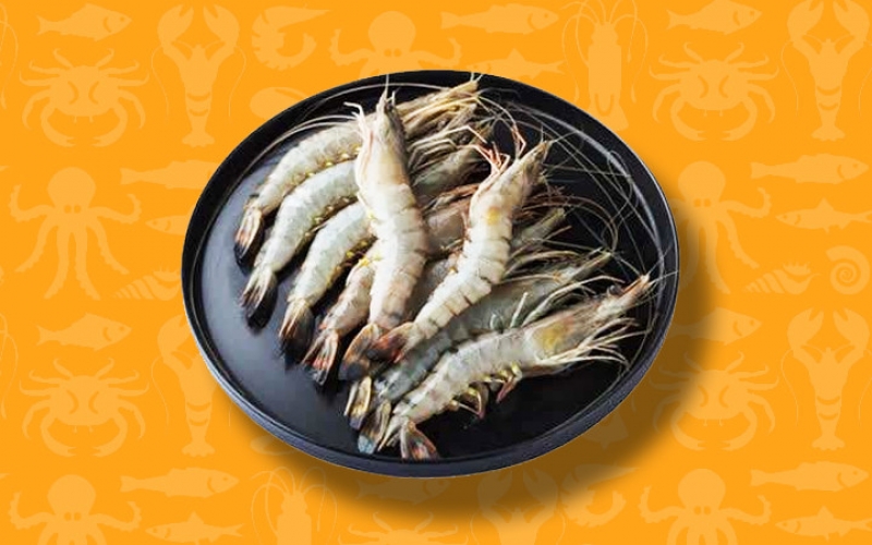 渔乐圈水产量贩