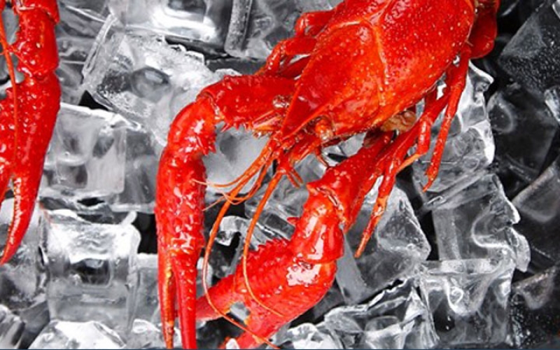 小龙虾产品PIS设计